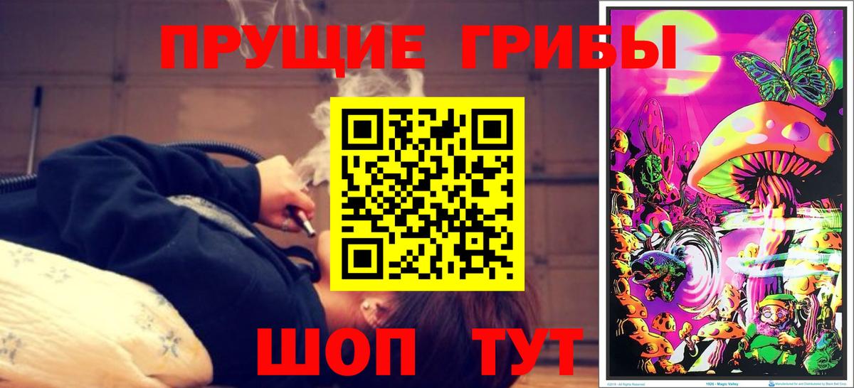 Псилоцибиновые грибы GOLDEN TEACHER Шадринск