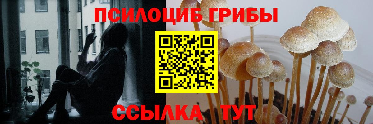 Псилоцибиновые грибы Psilocybe  наркота  Шадринск  Вход с VPN 